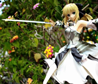 Fate/Unlimited Codes Saber lily 遥远的理想乡 Avolon