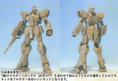 1/100 c.o.v.e.r.-kit ガンイージ（MG 骷髅高达対応）