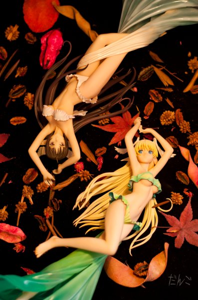 光明之风 森之女神 艾尔薇