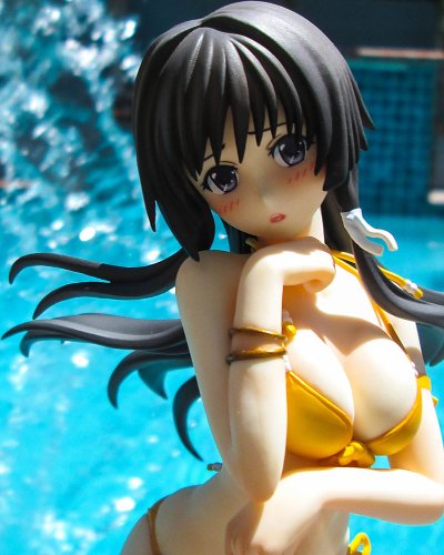 Muv-Luv ATE 篁唯依 羞涩的海滩