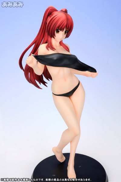 ToHeart2 向坂環 -バケーションver.- (通常版黑)