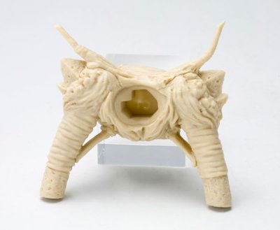 MUV-LUV Muv-luv Total Eclipse