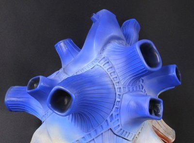 大怪兽系列巨型 布鲁顿