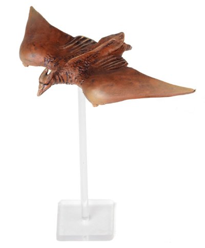 特摄转轮系列 No.019 拉顿