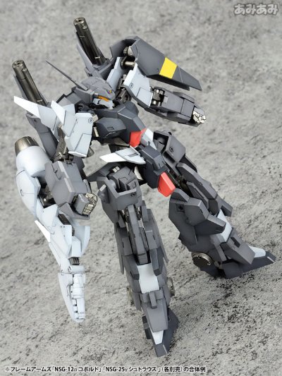 Frame Arms NSG-12α 鬼精