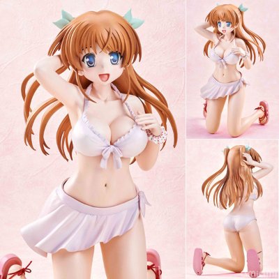 大图书馆的饲养人 白崎鸫