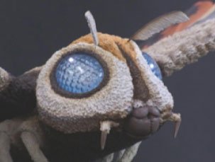 东宝大怪兽系列 摩斯拉（成虫）（1961版）