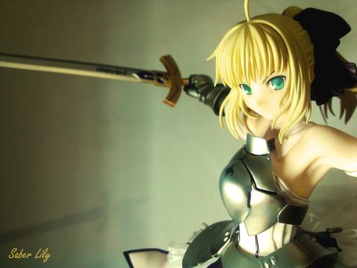 Fate/Unlimited Codes Saber lily 遥远的理想乡 Avolon