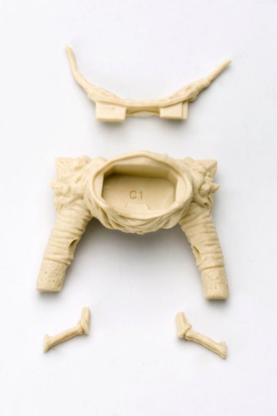 MUV-LUV Muv-luv Total Eclipse