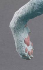 FIGUAX 美食的俘虏 Vol.5 战斗狼 泰利·克洛斯