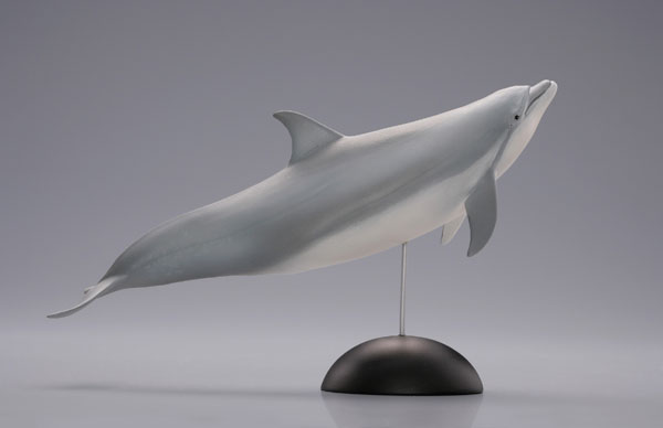 【水上精灵】海洋生物系列 Vol.1宽吻海豚【#1-001】