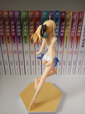 BEACH QUEENS 命运之夜 阿尔托莉雅 Lily