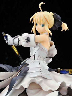 Fate/unlimited codes Saber・Lily