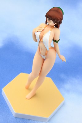 BEACH QUEENS 超音戦士ボーグマン 亚妮丝・法姆 