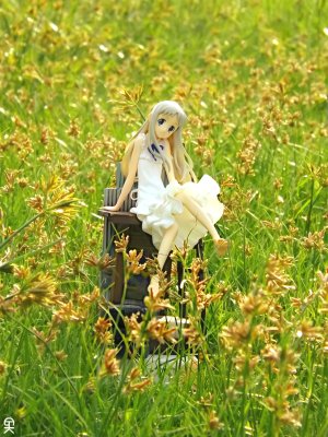 未闻花名 面码