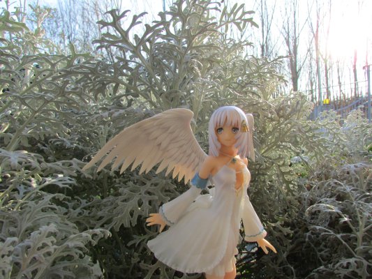 光明之舟 帕妮丝