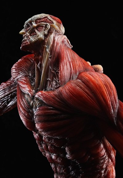 中文名称进击的巨人超大型巨人