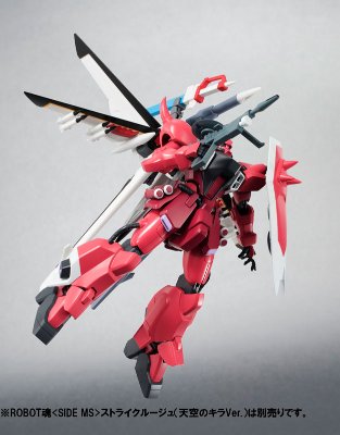 ROBOT魂 〈SIDE MS〉 机动战士高达SEED DESTINY ZGMF-1000/A1 炮战型扎古勇士 露娜玛丽亚·霍克专用机