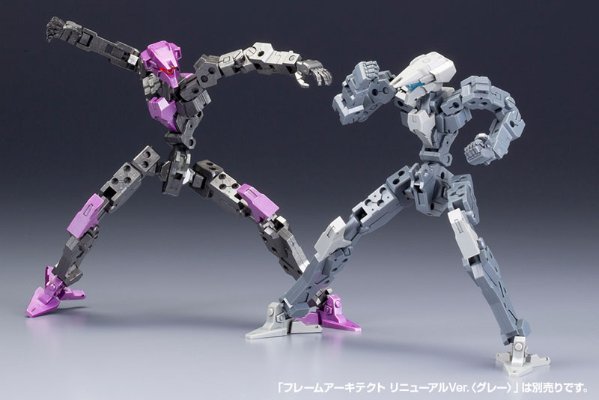 骨装机兵 Frame Architect TYPE-001〈枪色〉：RE2