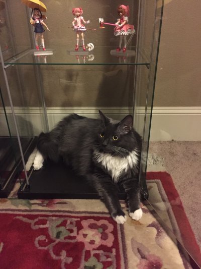 figma #244 魔卡少女樱 小可&木之本樱