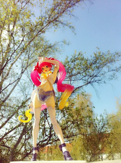 虫姫 Reco