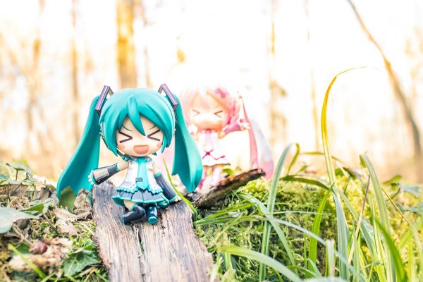 粘土人 #274 樱初音 樱未来