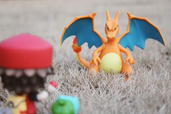 粘土人 精灵宝可梦 小赤 冠军