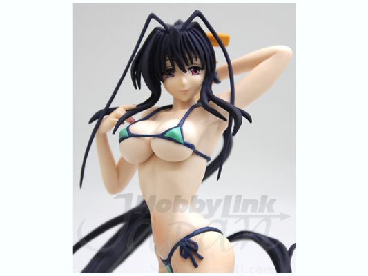 恶魔高中d×d hero 姫島朱乃 泳装