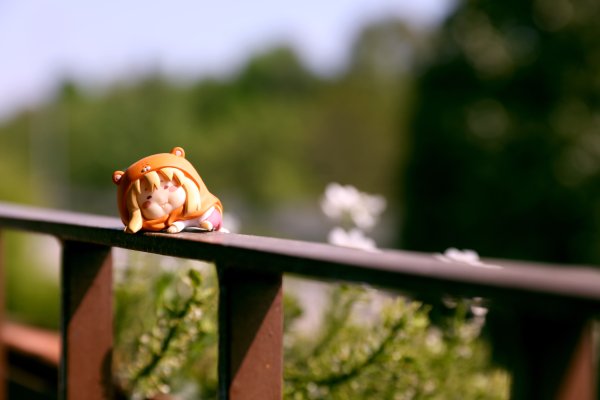 干物妹！小埋 盒蛋  土间埋 生气