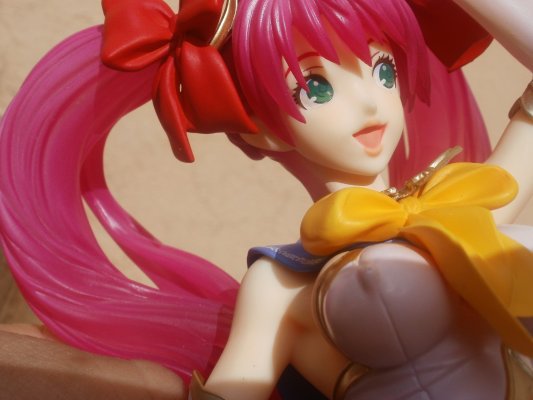 虫姫 Reco