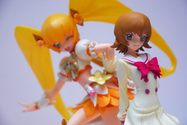 世界制服作戦 ハートキャッチ光之美少女! 明堂院五木 