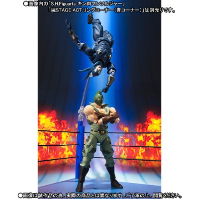 S.H.F 筋肉人 ザ・ニンジャ 