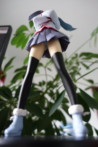 SQ系列 恋物语 战场原黑仪