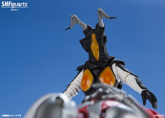S.H.Figuarts   芝顿