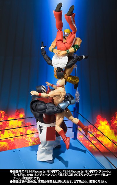 S.H.Figuarts 筋肉人 大武道