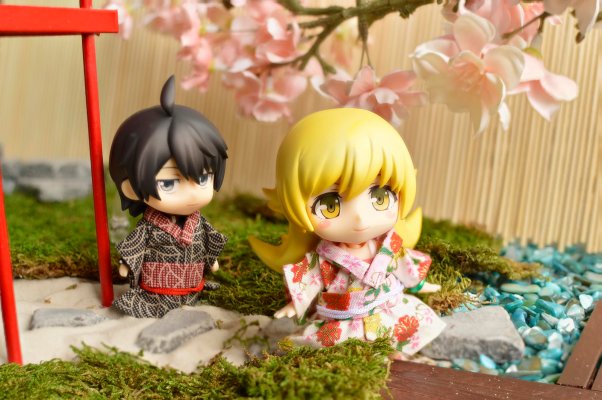 粘土人 #429 化物语 阿良良木历