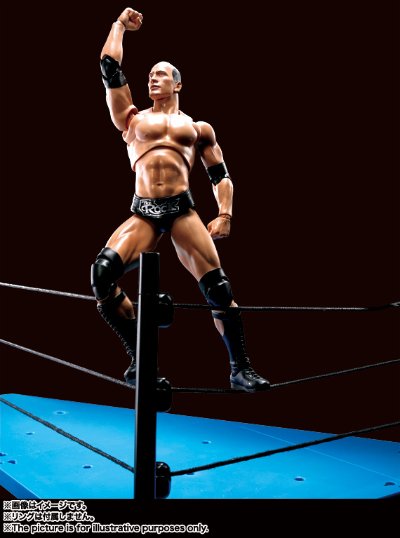 S.H.F WWE The Rock
