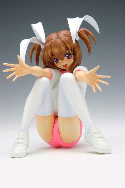 DreamTech Pia♥キャロットへ阳子そ!!3 爱沢友美 Gym Uniform Ver. (Pink Color) Limited 