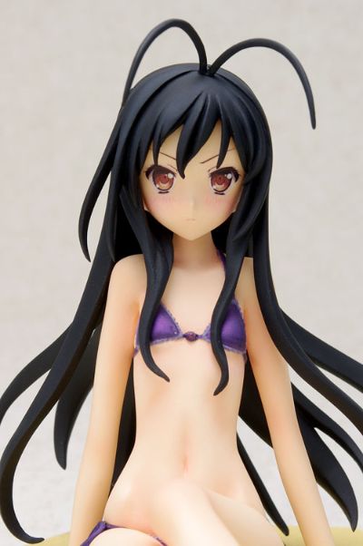BEACH QUEENS 加速世界 黒雪姫 电撃スペシャルVer. 水着Ver.