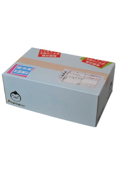 黑胶Doll 轮るピングドラム ペンギン３号 