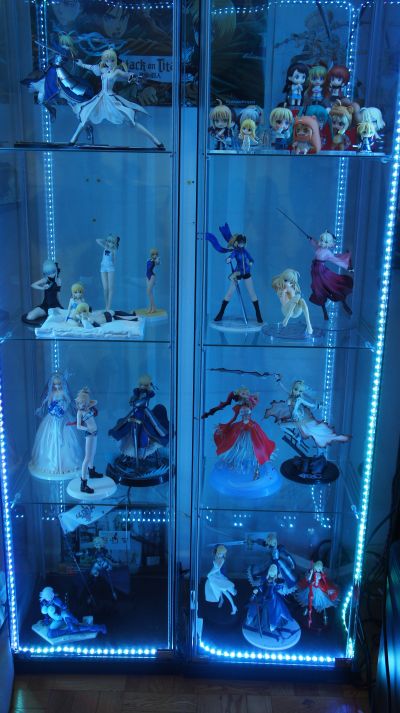 Fate/EXTRA CCC SABER bride