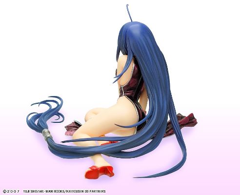 R-Line 一骑当千 Dragon Destiny 関羽云长 DVDBOX版破损チャイナVer. 