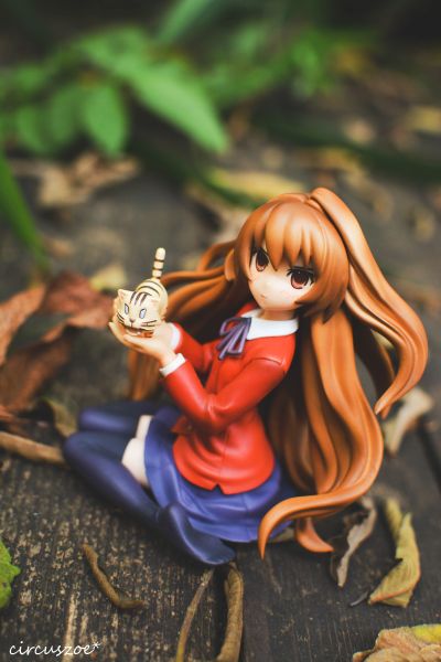 龙与虎 逢坂大河