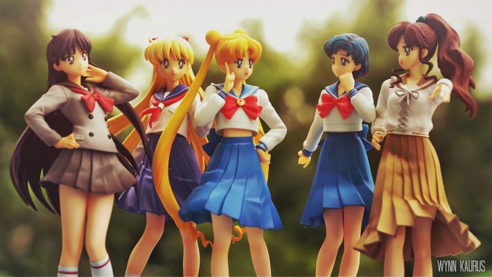 世界制服作戦 美少女战士 木野真琴