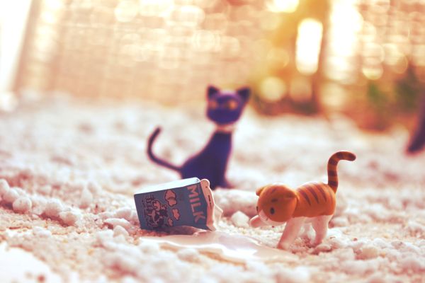 クリエーターズ・ラボ Nitro 超级索尼子 そに子 Standard Babydoll ver. 