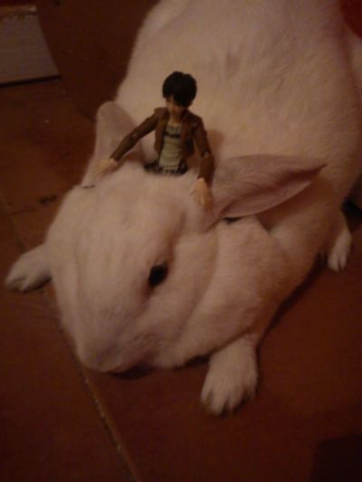 figma #207 进击的巨人 艾伦·耶格尔