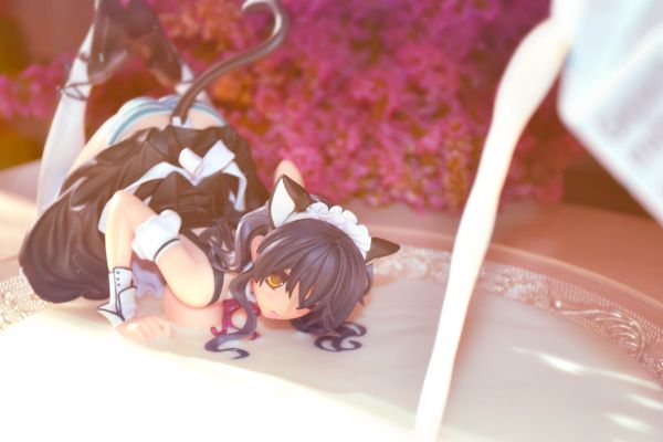 CAT LAP MILK