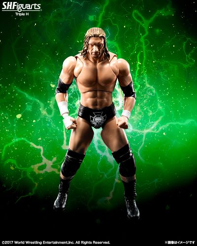S.H.F WWE Triple H 