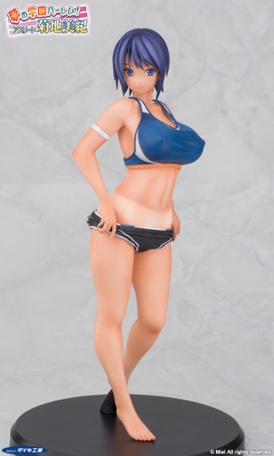 梦幻后宫学园！ 菊地美纪