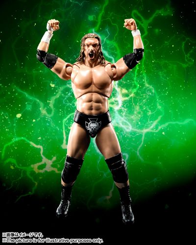 S.H.F WWE Triple H 